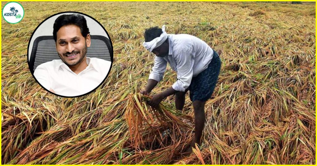 1294 crore crop loss compensation to farmers